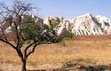 Cappadocia Landscape