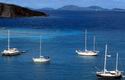 Blue Cruise